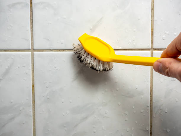 Best Professional Mold Removal  in Woodstock, VA