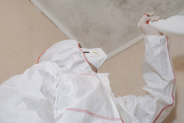 Best Mold Testing  in Woodstock, VA