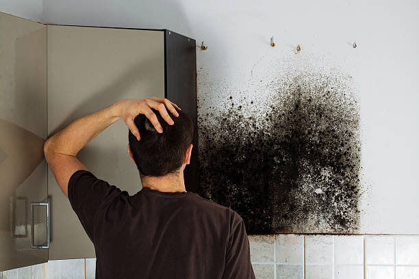 Water Damage Restoration in Woodstock, VA